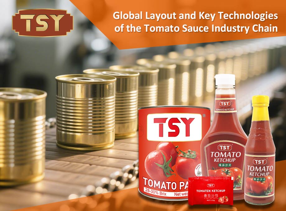 Disposition mondiale et technologies clés de la chaîne de l'industrie de la sauce tomate